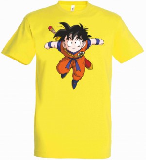 Goku 13 98255